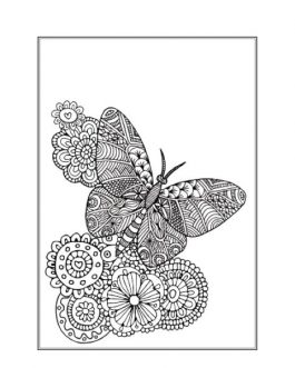 Beautiful Butterflies & Birds Anti-Stress Colouring Book
