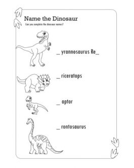 My Wild Dragon & Dinosaur All-In-One Activity Book