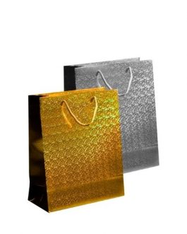 Holographic Bag Medium, Gold & Silver
