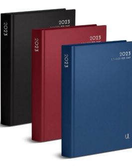 A4 2 Pages Per Day Classic Diary