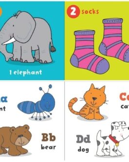 Youngland® Early Learning Board Books – Pack of 4 Assorted Themes | ABC, 123, My First Words & Opposites