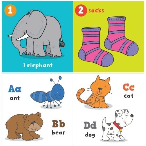 Youngland® Early Learning Board Books – Pack of 4 Assorted Themes | ABC, 123, My First Words & Opposites - Image 2