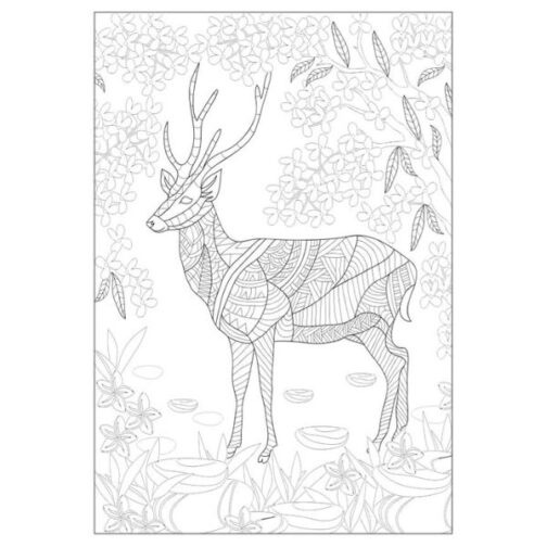 Advanced Colouring Books – Pack of 4 – Beautiful, Happy, Peace & Love - Image 6