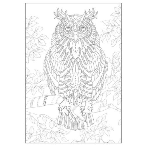 Advanced Colouring Books – Pack of 4 – Beautiful, Happy, Peace & Love - Image 7