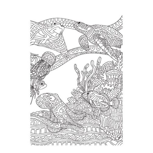 Youngland® Colouring Books | Pack of 3 | Life on Savannah, Ocean & Jungle - Image 7